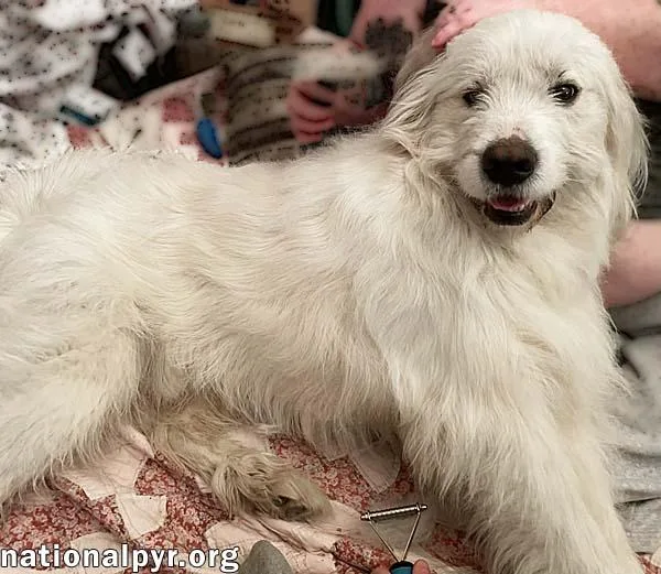 Wally In Tn  thumbnail 2