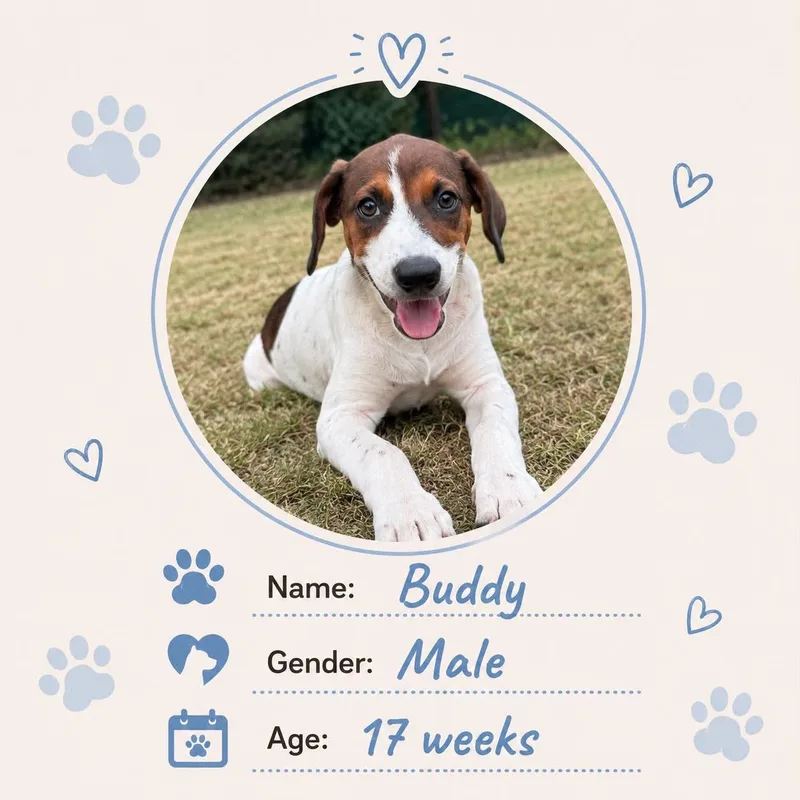 Buddy thumbnail 2