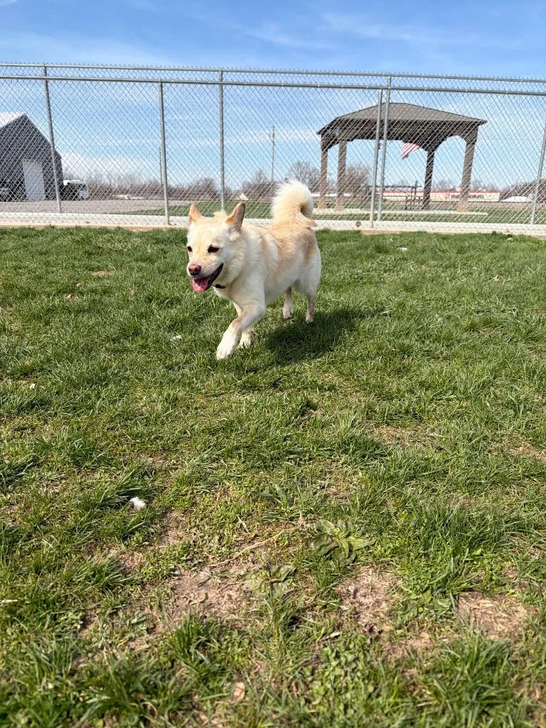 Mary Jane thumbnail 2