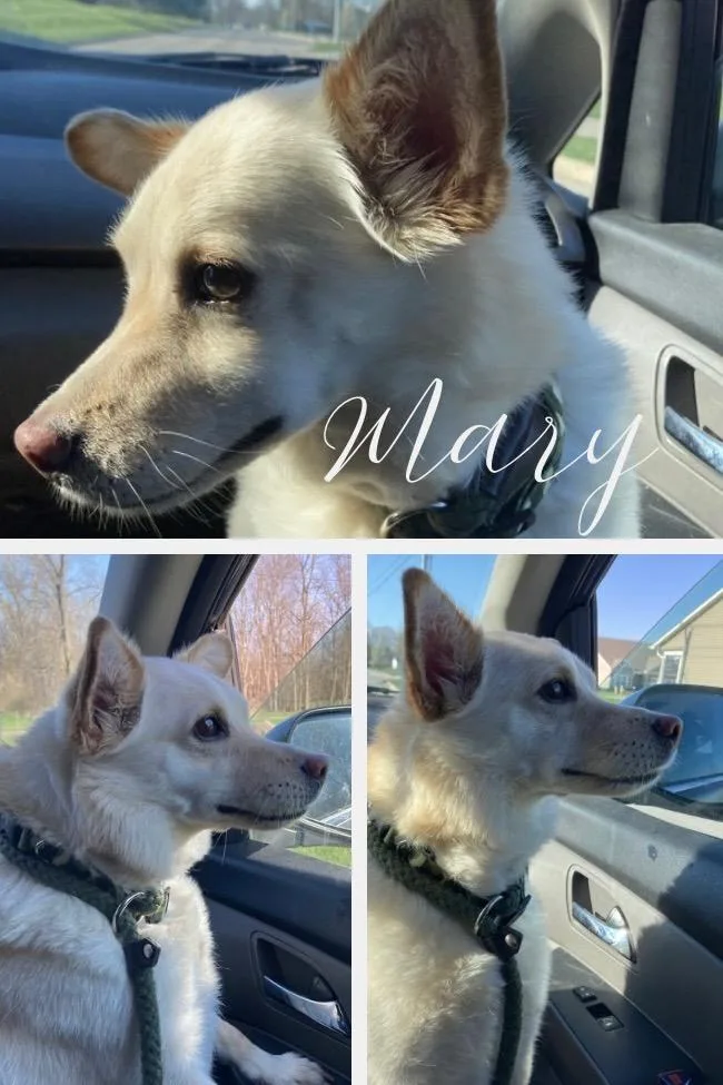 Mary Jane thumbnail 3