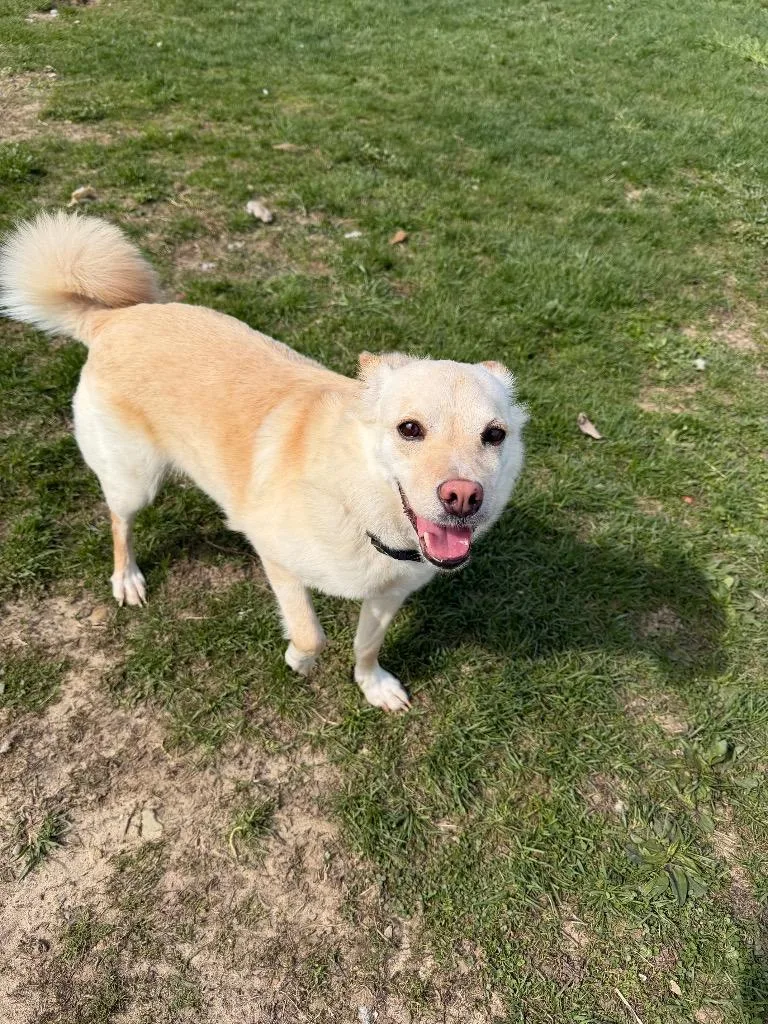 Mary Jane thumbnail 4