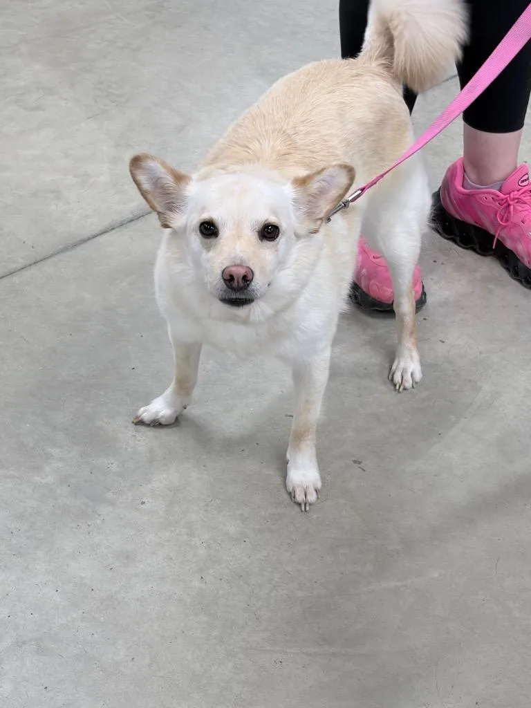 Mary Jane thumbnail 6