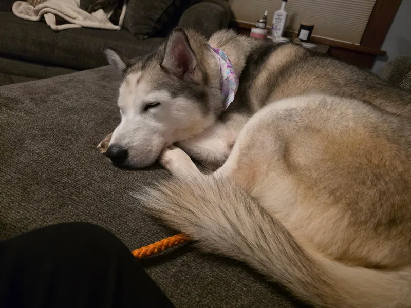 Topaz Treasure  Jj thumbnail 2