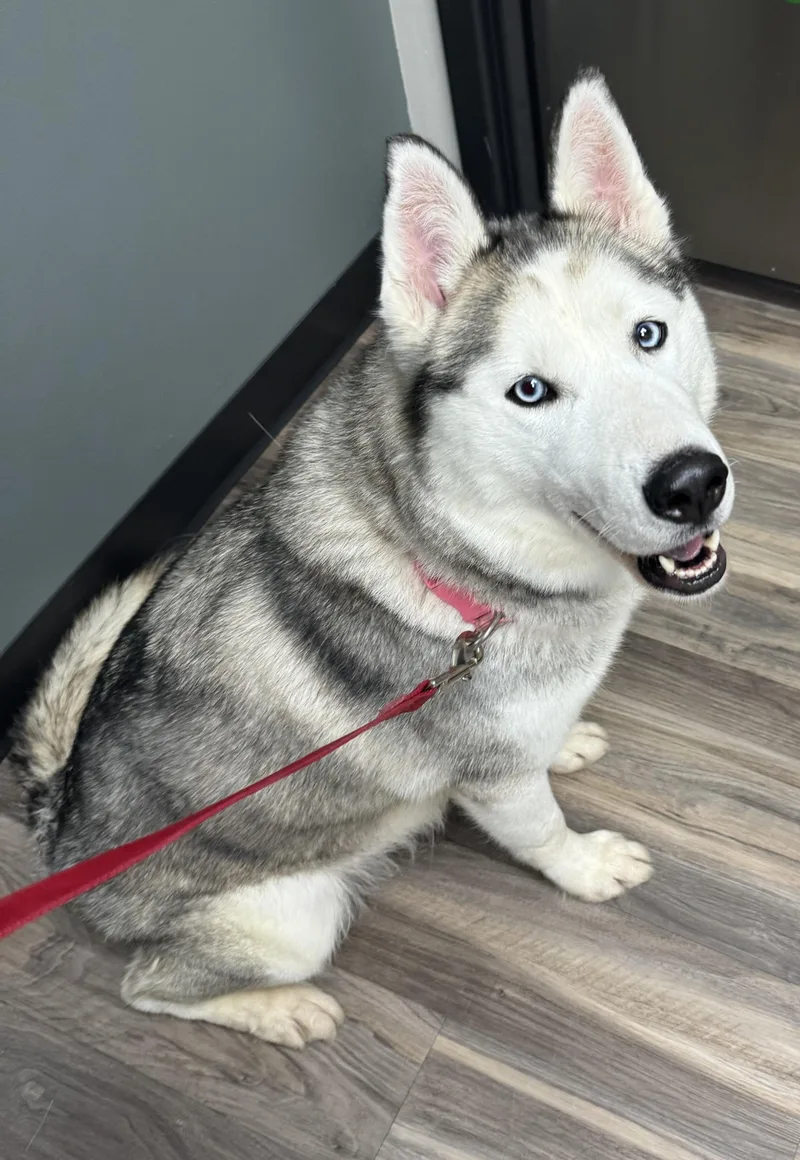 Topaz Treasure  Jj thumbnail 3