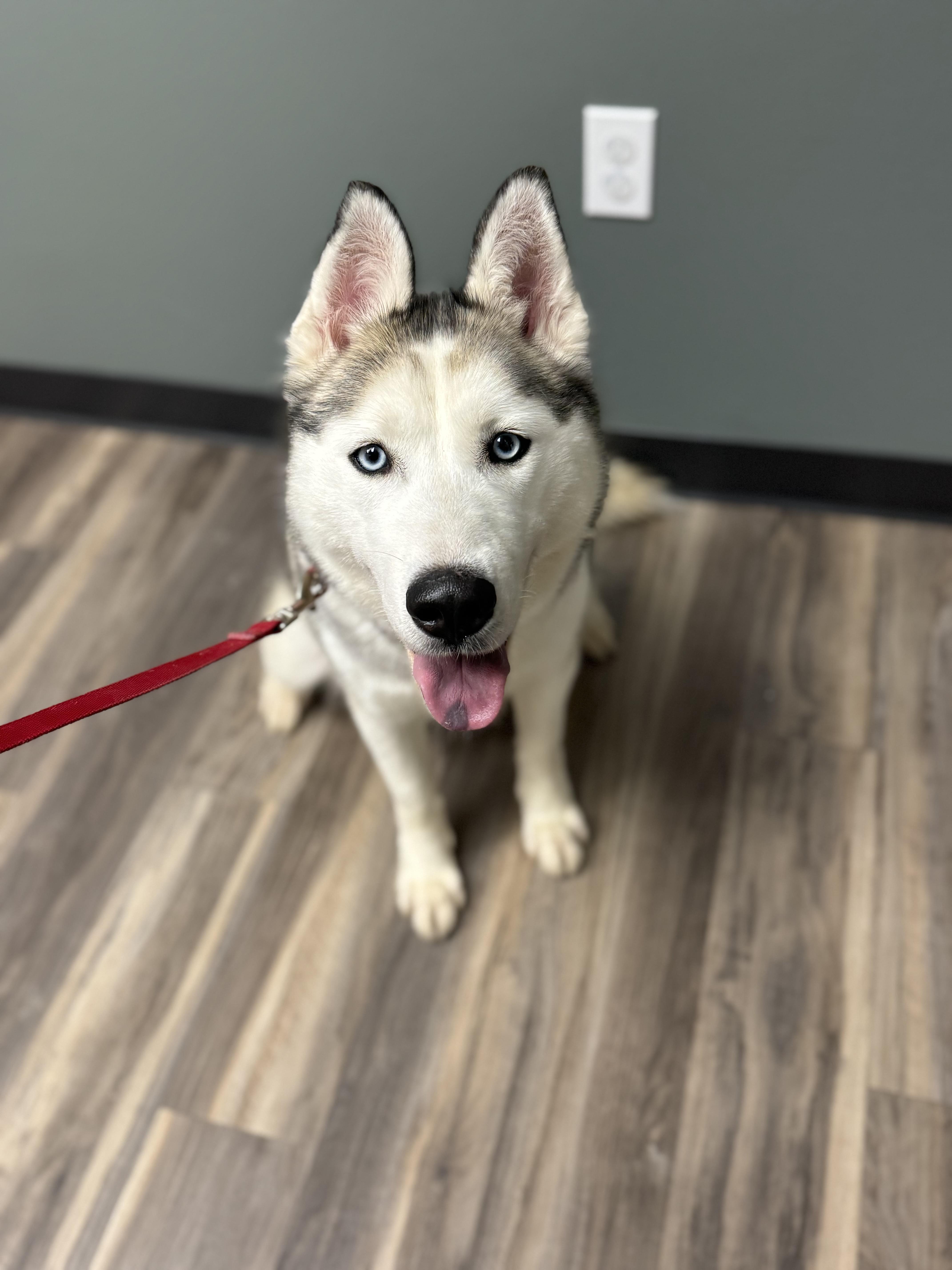 Topaz Treasure  Jj thumbnail 4