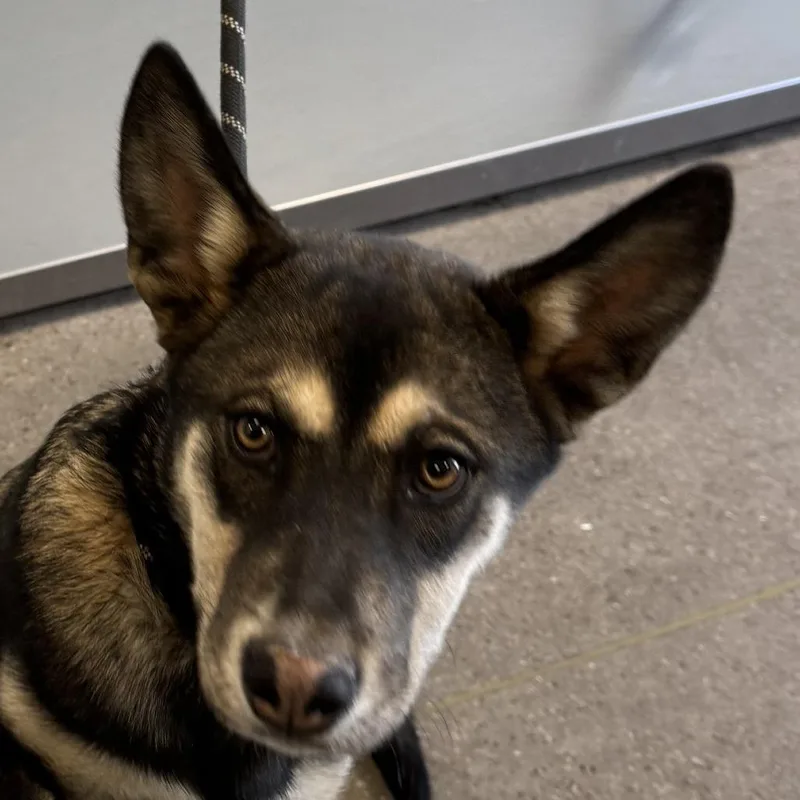 Juliette thumbnail 2