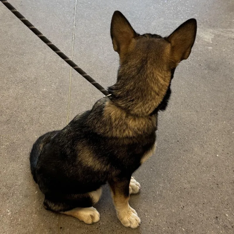 Juliette thumbnail 3