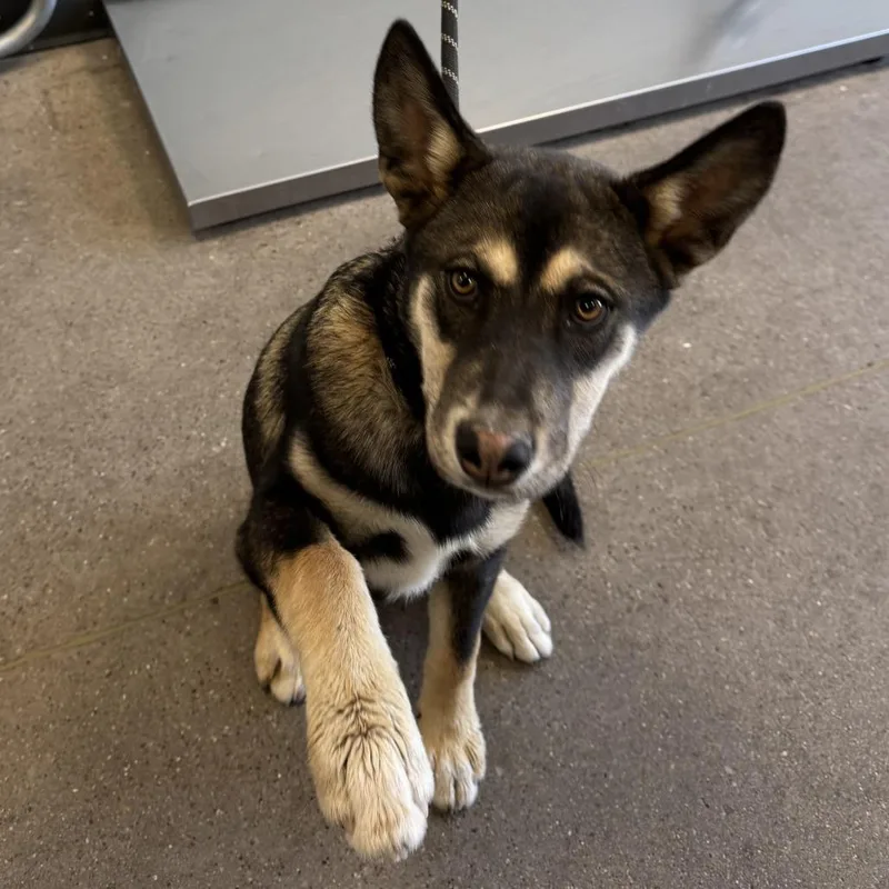 Juliette thumbnail 4