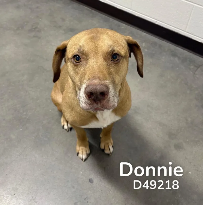 Donnie thumbnail 2