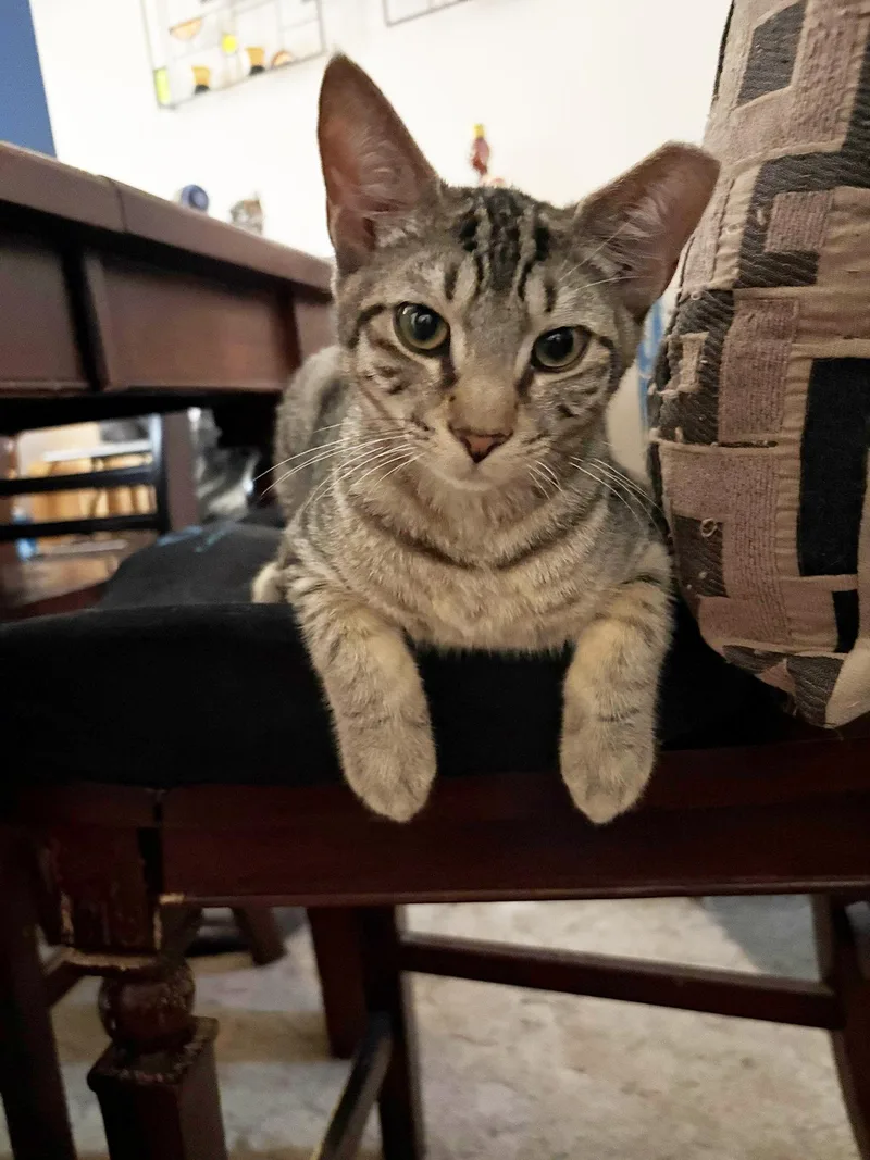 Binx Porter thumbnail 3