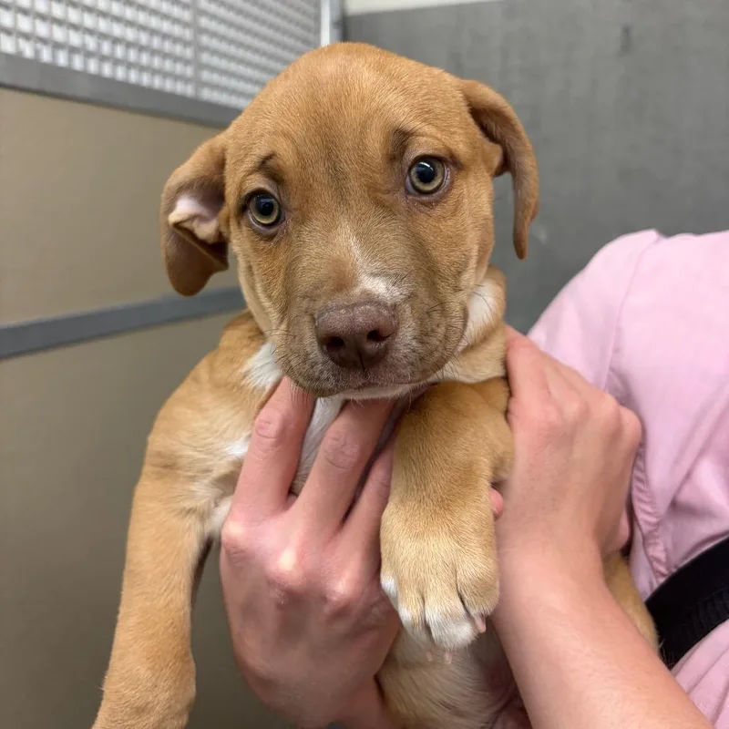 Clawhauser thumbnail 2