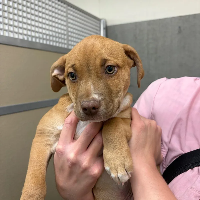 Clawhauser thumbnail 3