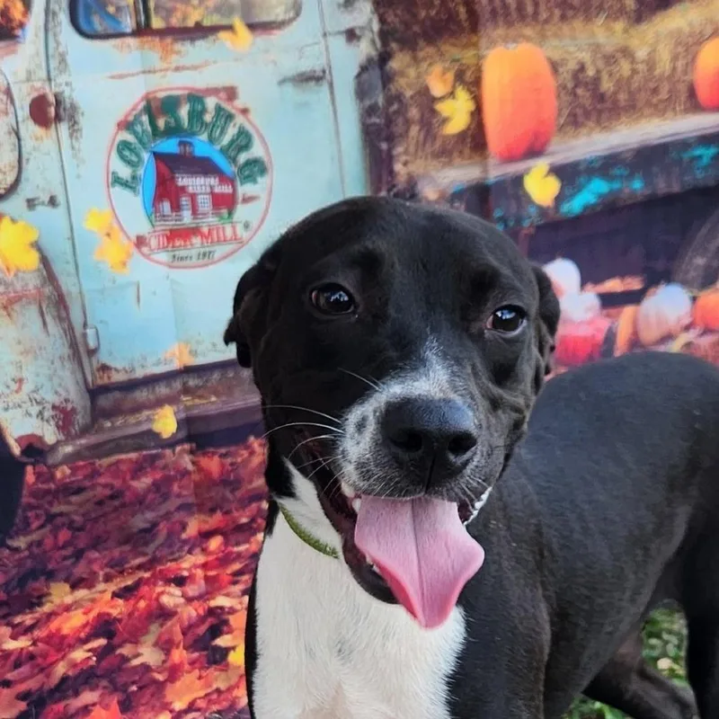 Shelly Jum thumbnail 6