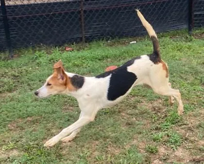 Maisey thumbnail 2