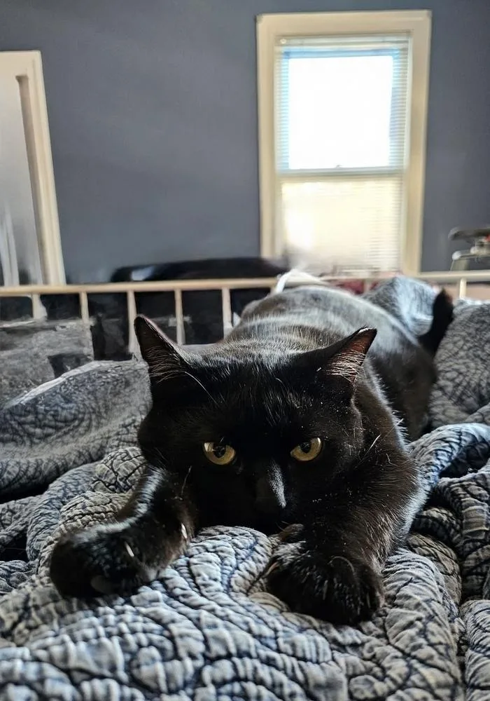 Green Day Mama:  thumbnail 3