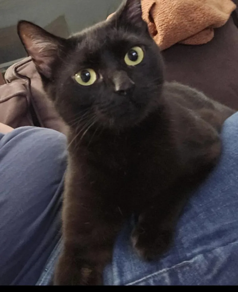 Green Day Mama:  thumbnail 5