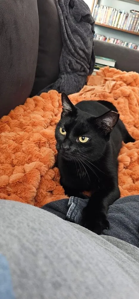 Green Day Mama:  thumbnail 6