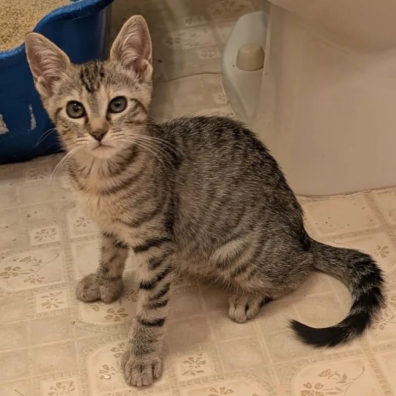 Sweetheart thumbnail 5