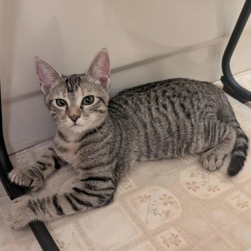 Sweetheart thumbnail 6