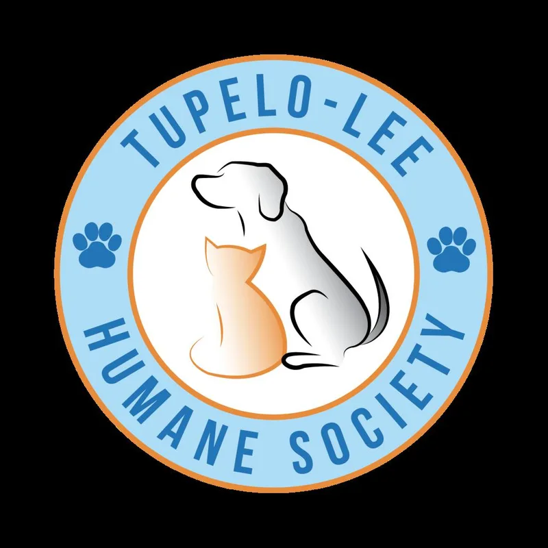 A baby small-sized male White / Cream Terrier dog named Trace for adoption in Tupelo, MS