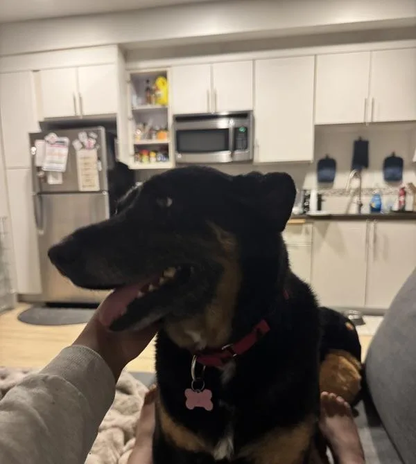 Prudence thumbnail 4