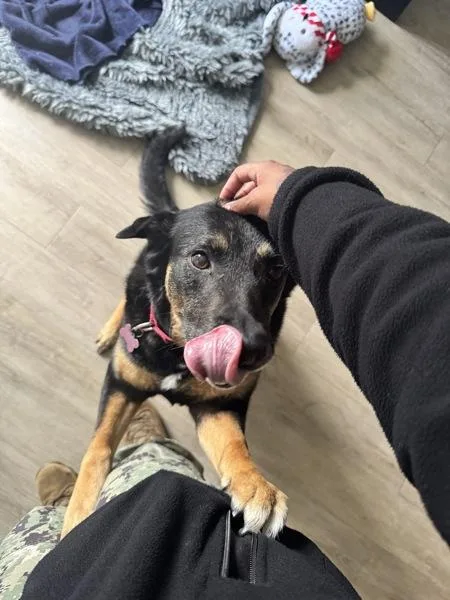 Prudence thumbnail 6