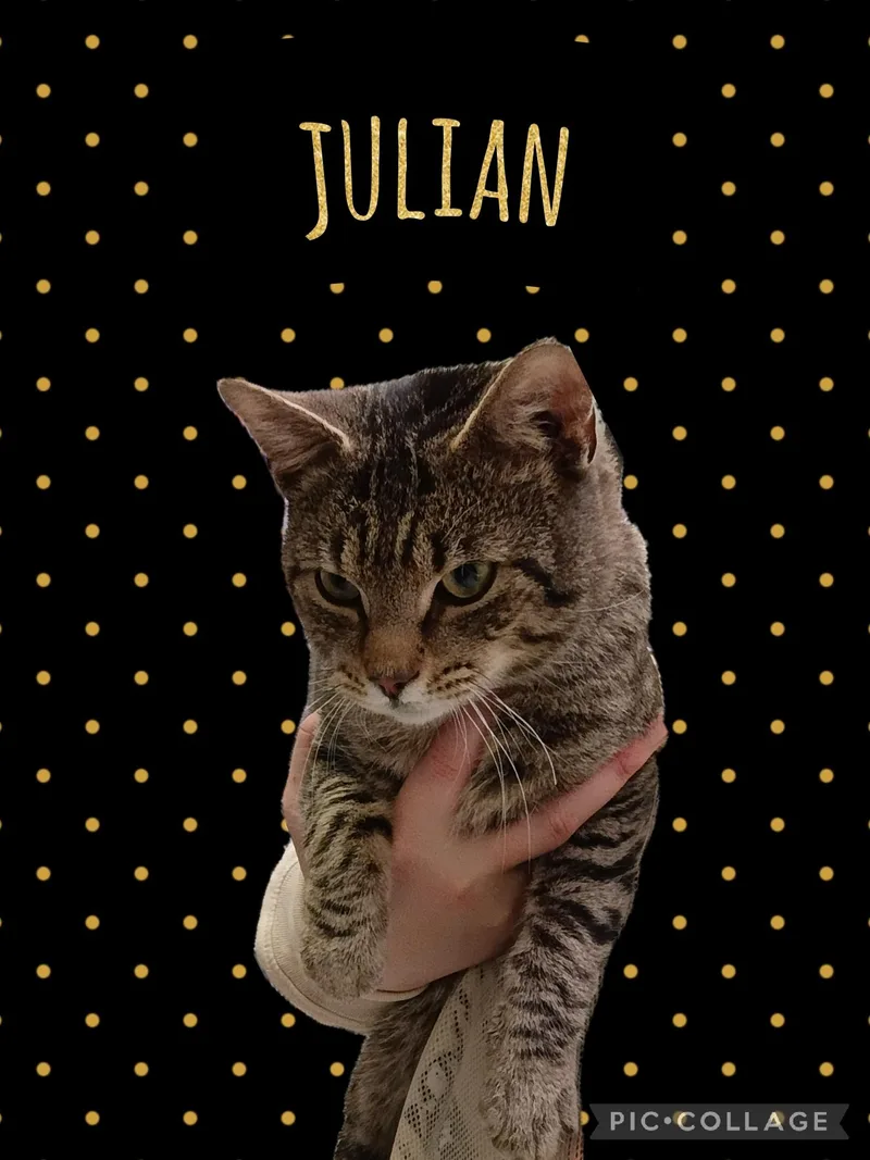 Julian