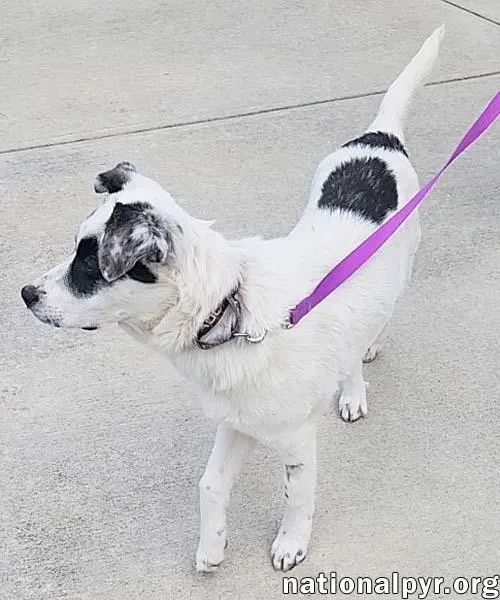 Libby In Oh  thumbnail 2