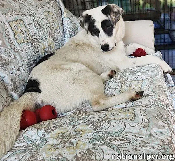 Libby In Oh  thumbnail 3