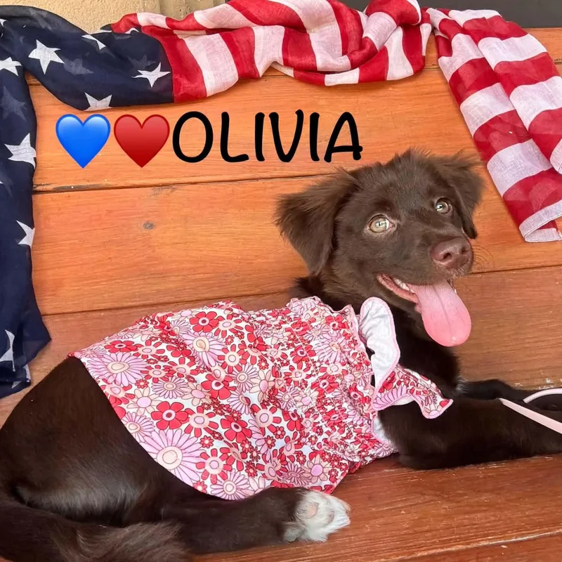 Olivia