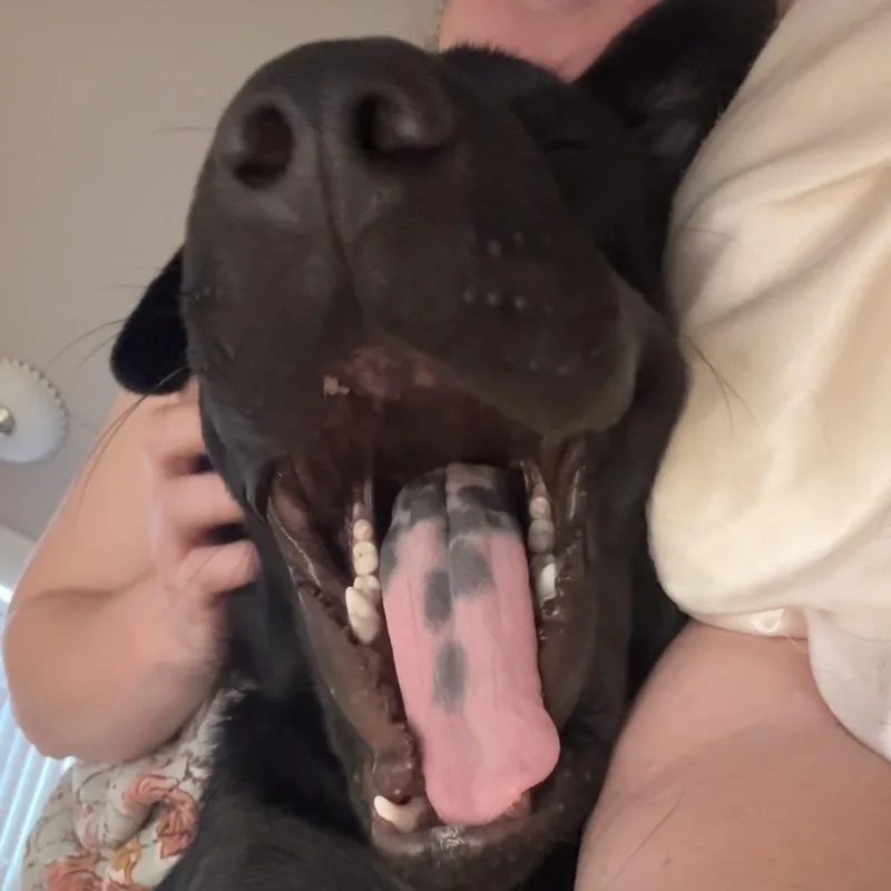 Butch thumbnail 3