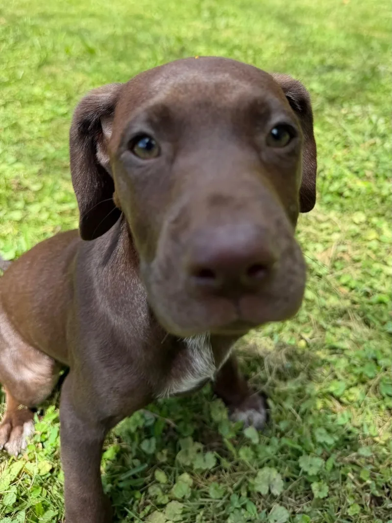 Nellie thumbnail 2