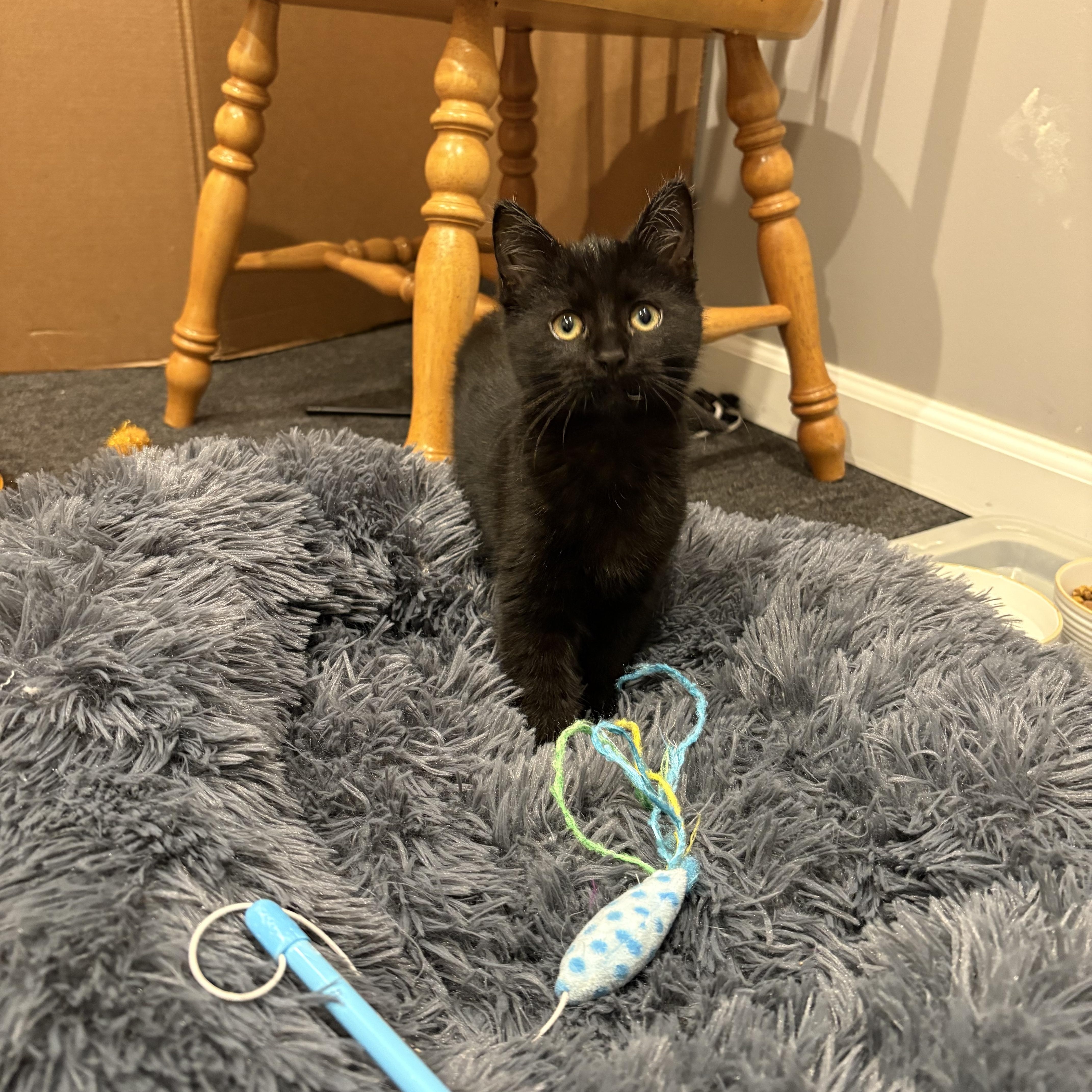 Mother Gothel thumbnail 2