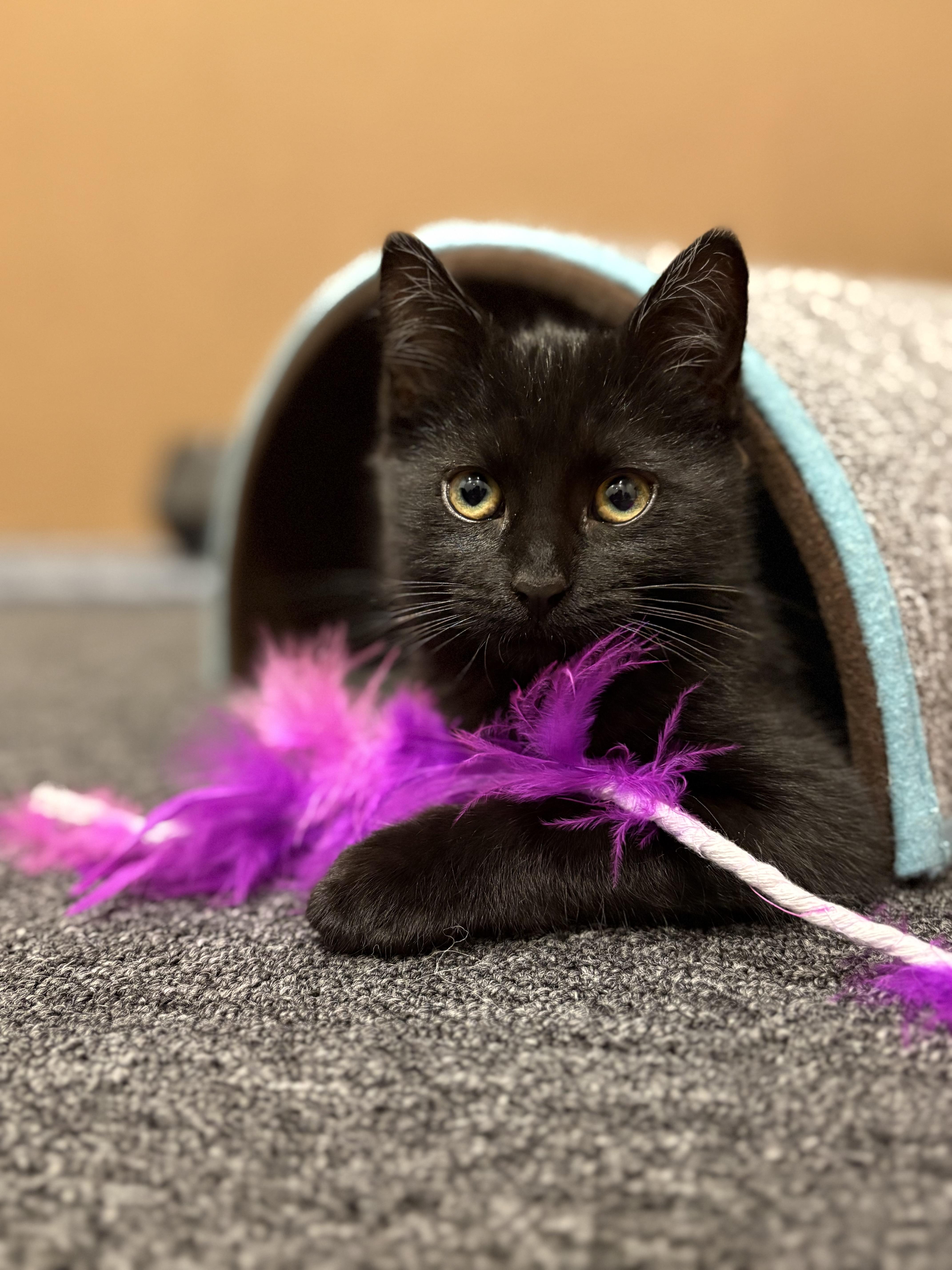 Mother Gothel thumbnail 3