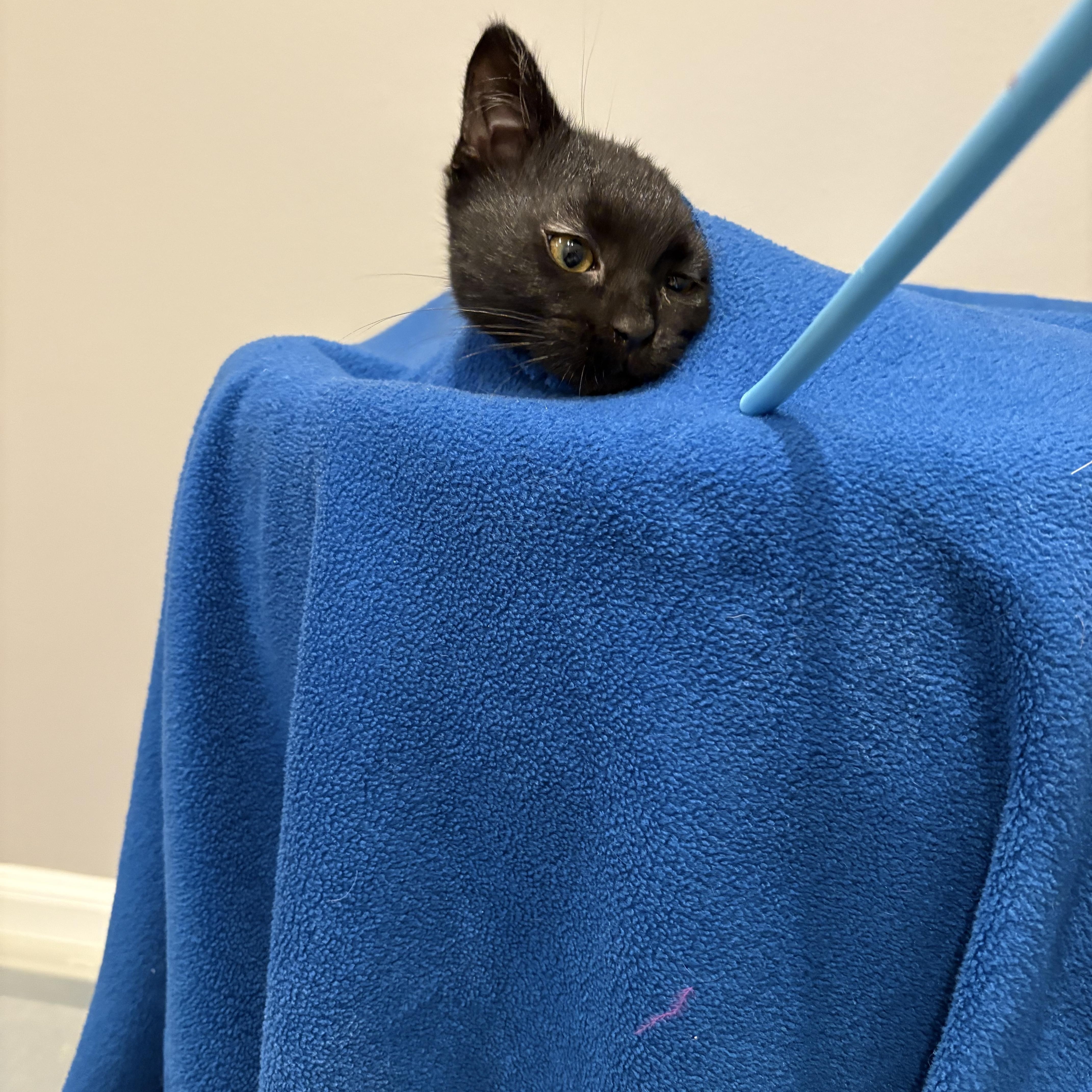 Mother Gothel thumbnail 4