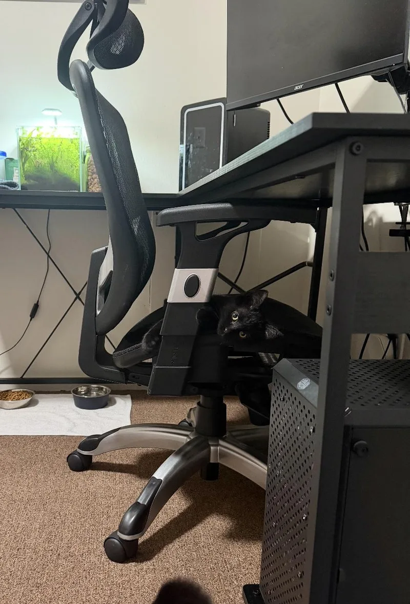 Mother Gothel thumbnail 5