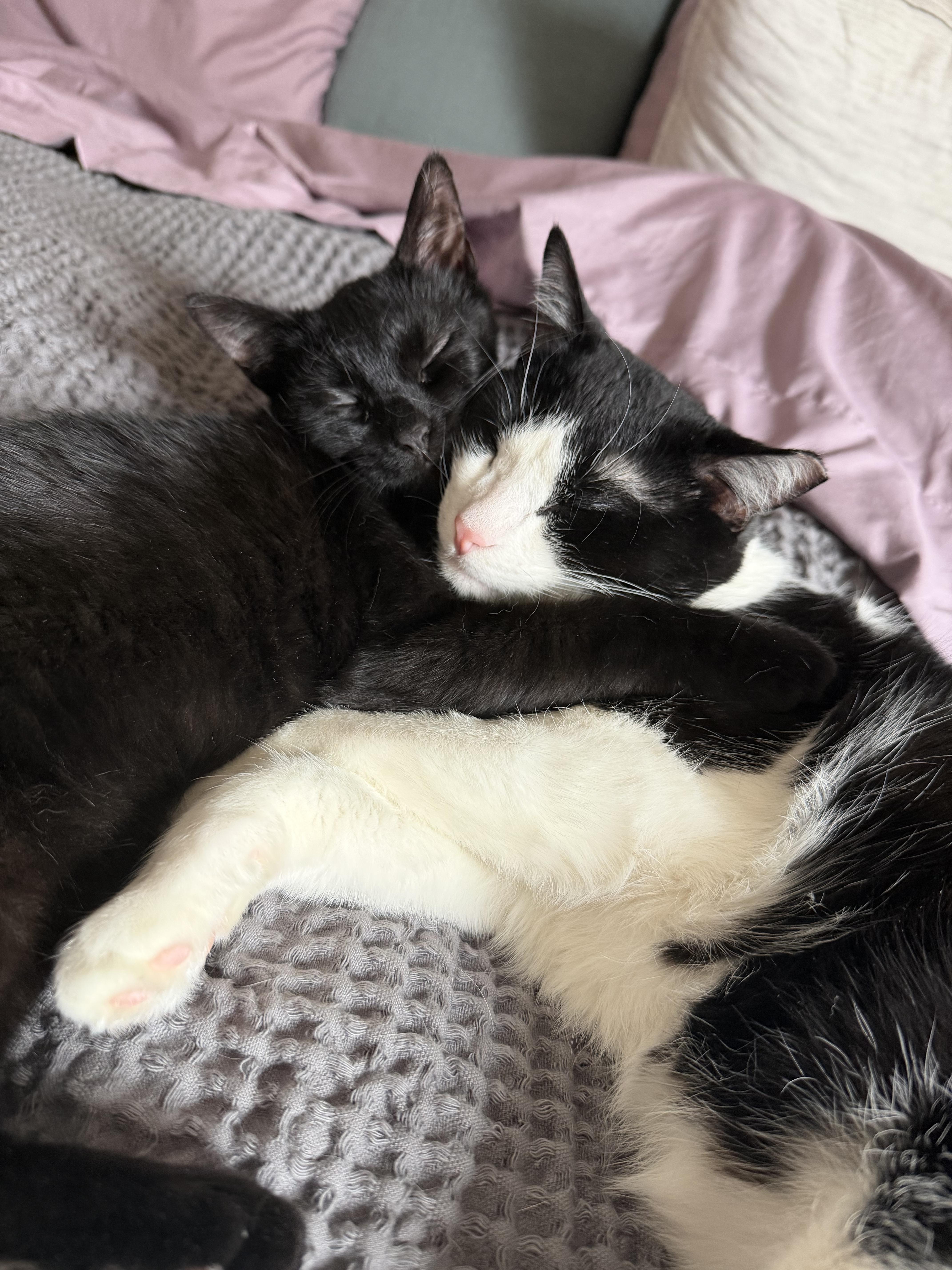 Mother Gothel thumbnail 6