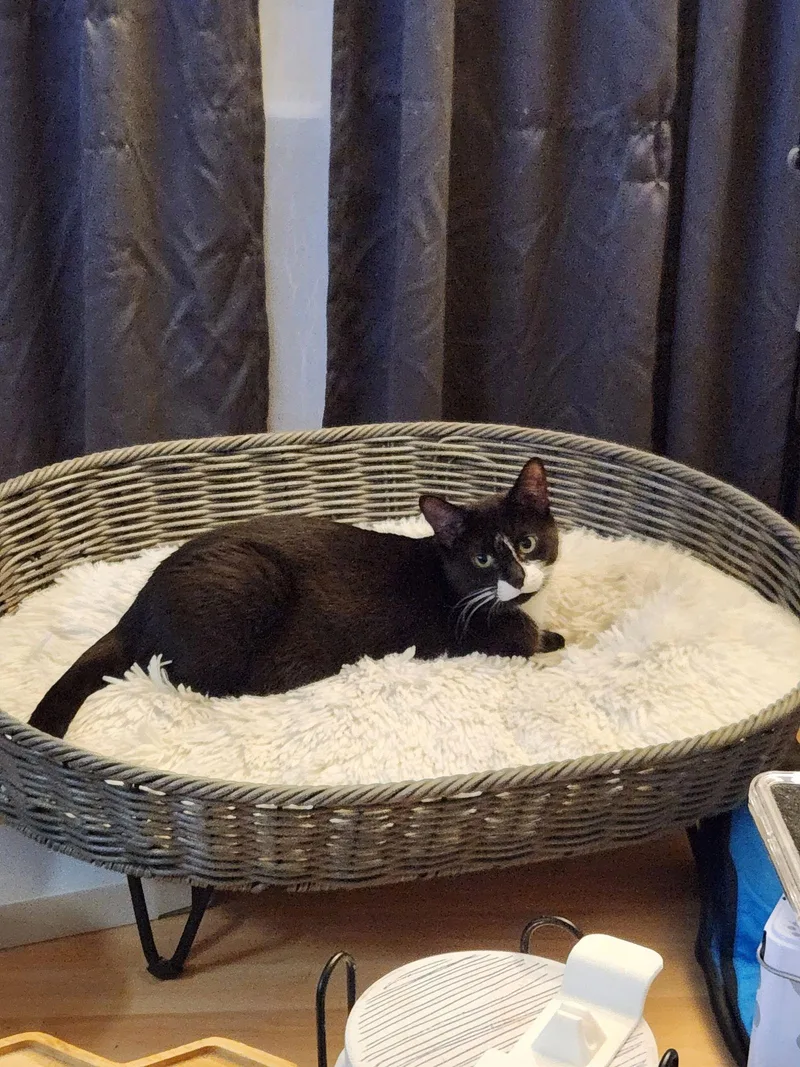 Moostash thumbnail 3