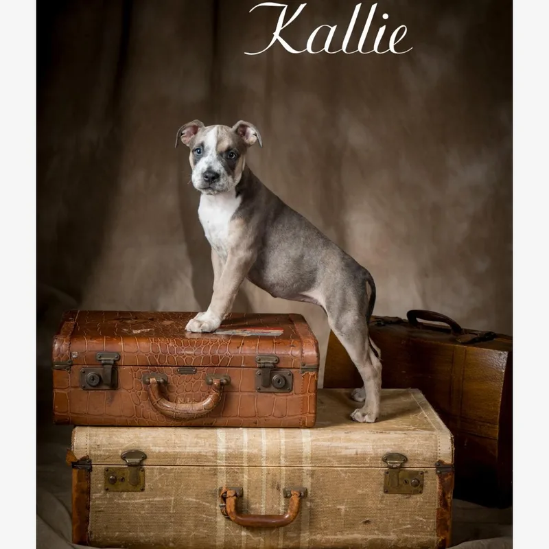 Kallie thumbnail 2