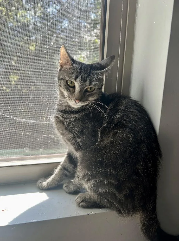 Molly Am thumbnail 3