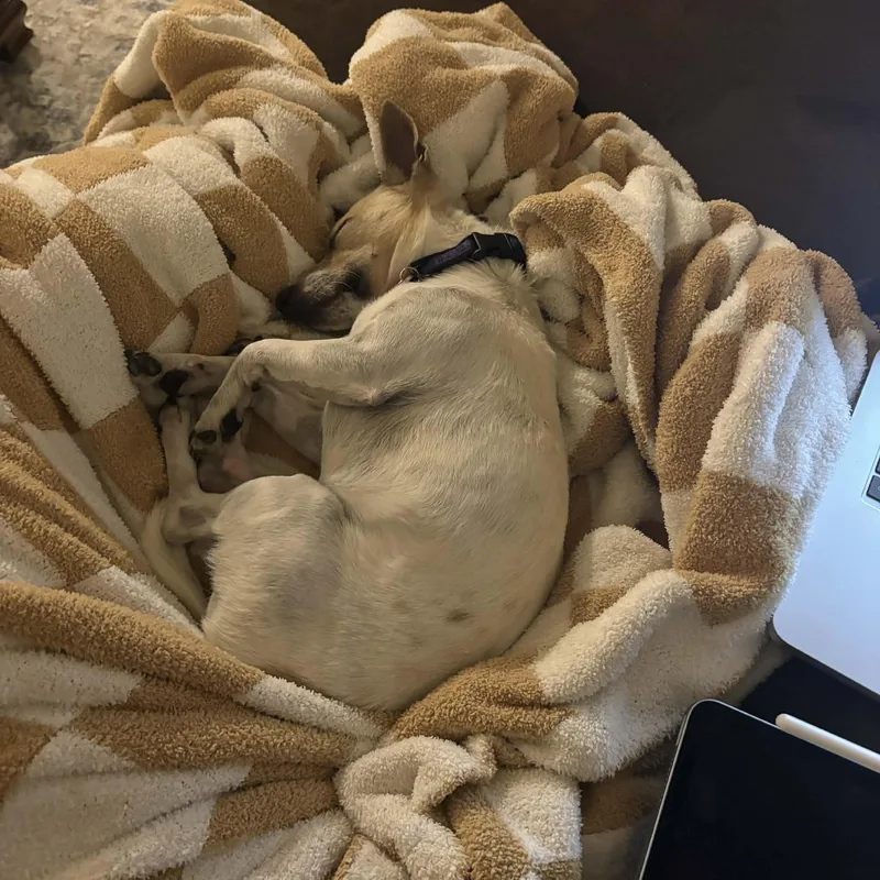 Benny