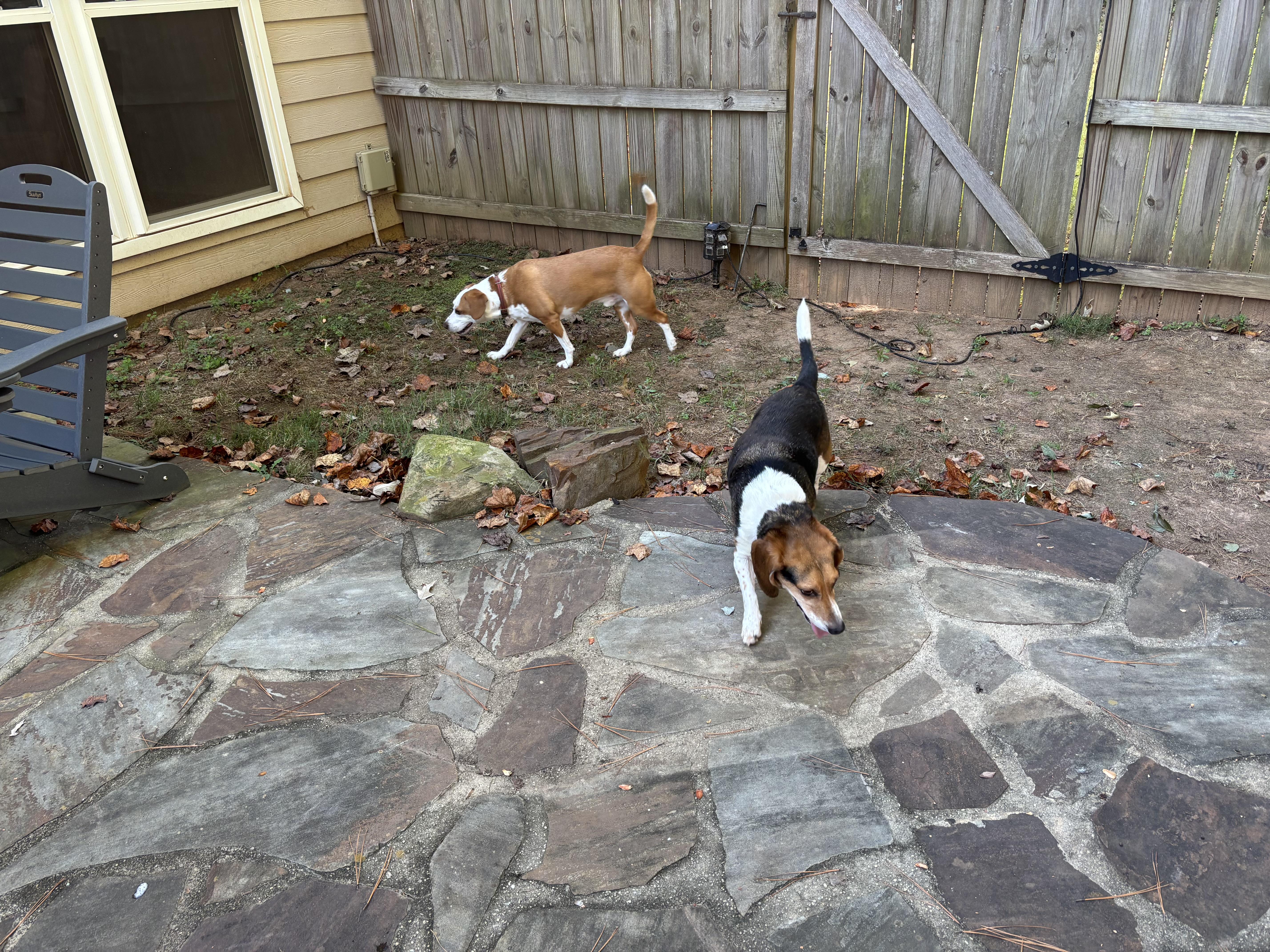 Mr Rocky thumbnail 2