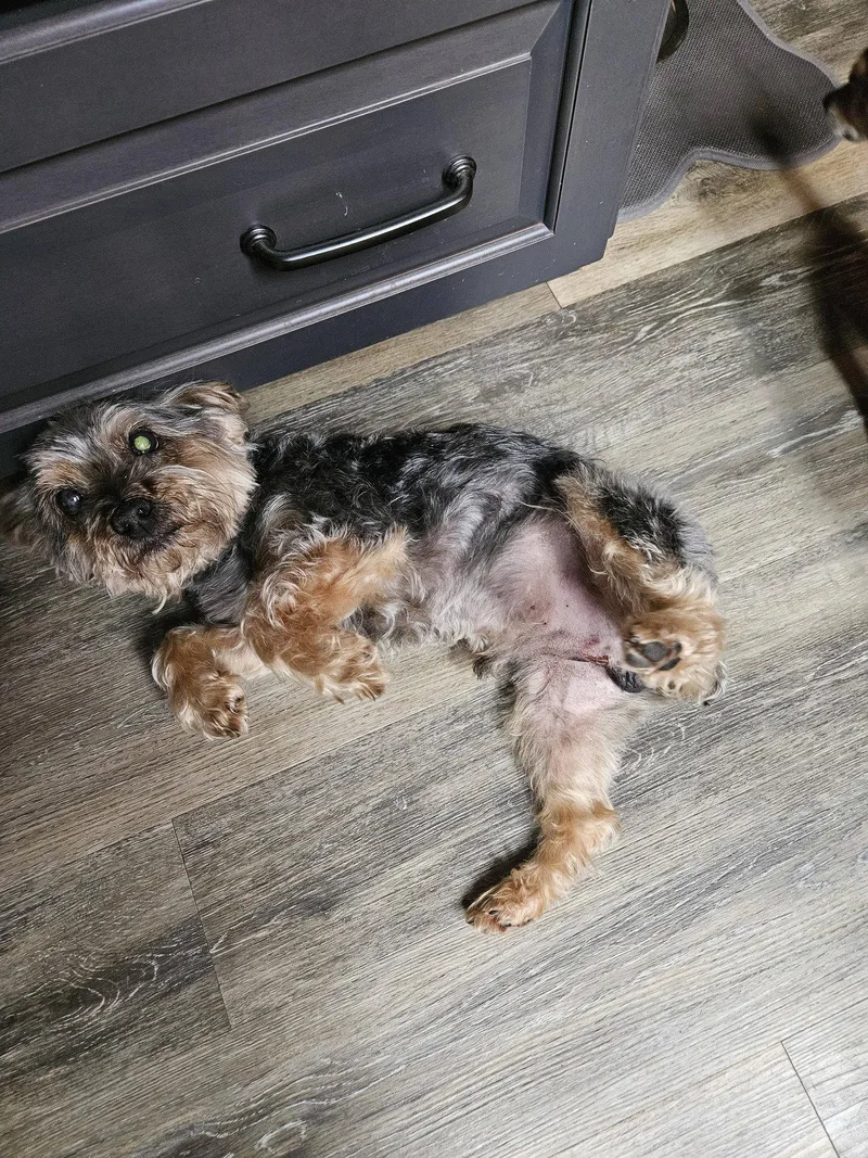 Ernie thumbnail 2