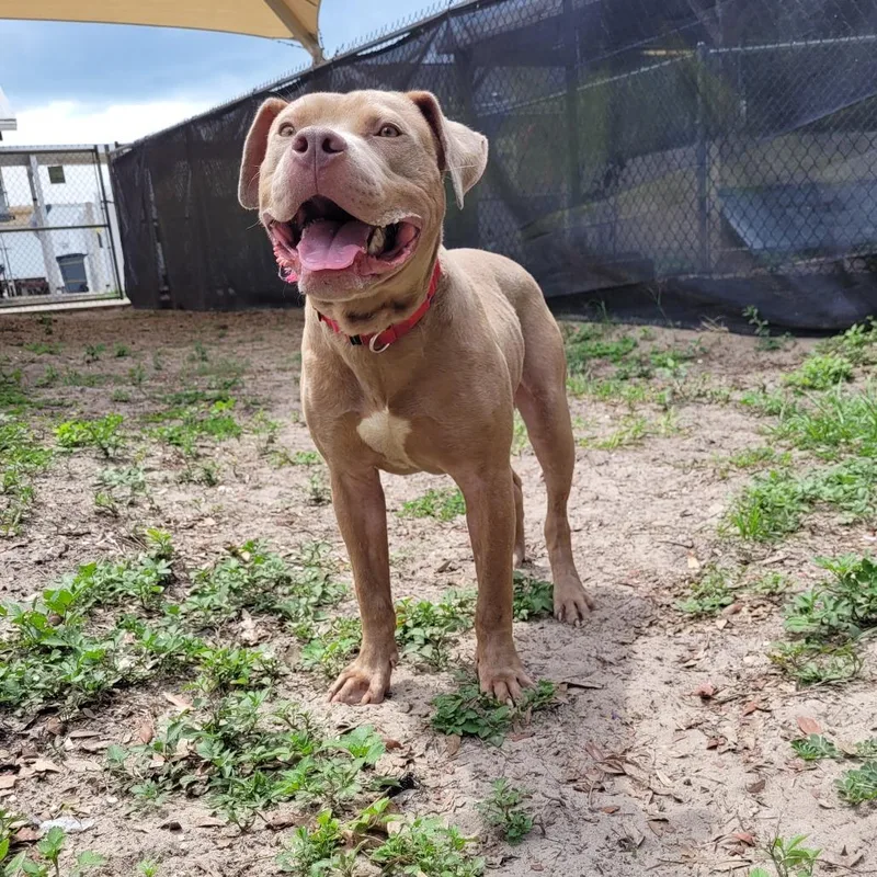 Max