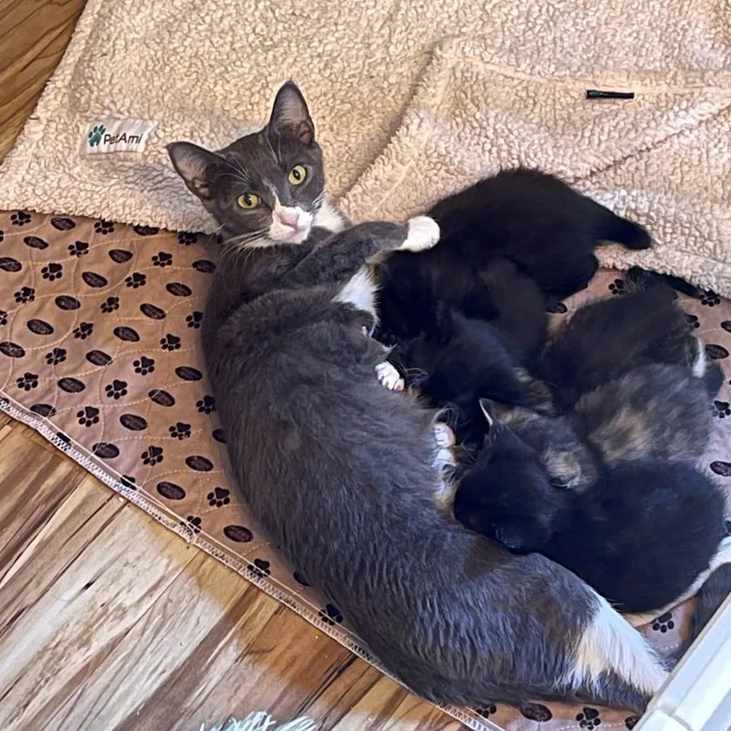 Pretty Momma C thumbnail 2