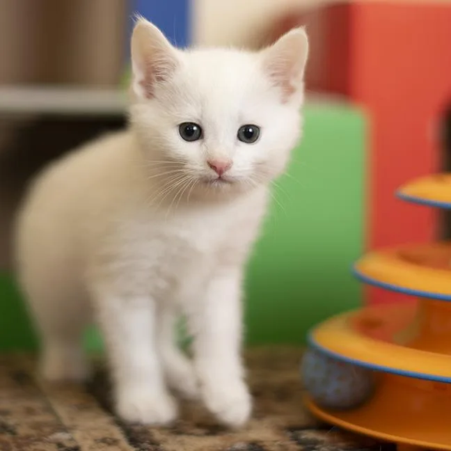 Snuggles thumbnail 4