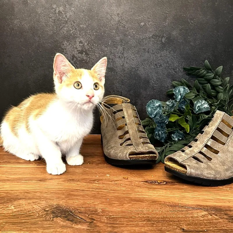 Mary Jane's Wedge thumbnail 2