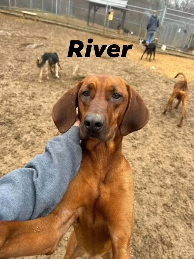 River thumbnail 4