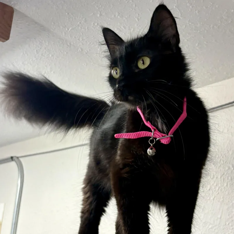Yuki thumbnail 4
