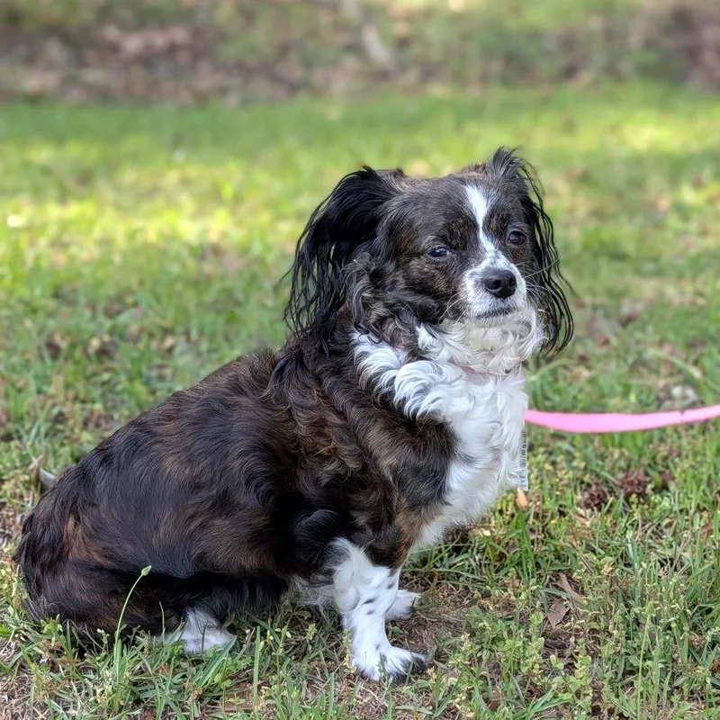 Stella Bella Boo thumbnail 3